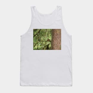 Douglas squirrel (Tamiasciurus douglasii) Tank Top